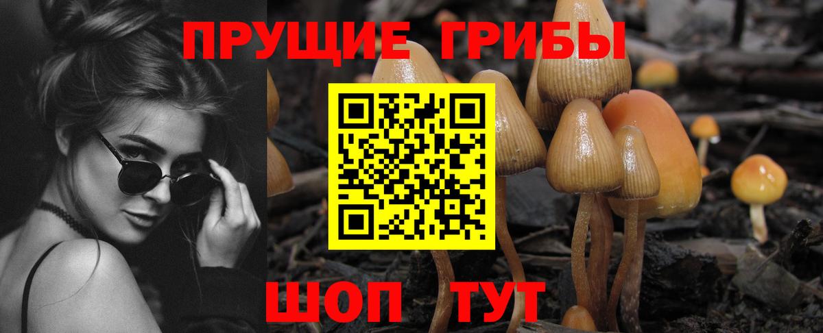 Галлюциногенные грибы мицелий Калининград